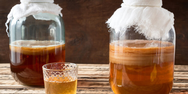 Homemade Kombucha Recipe