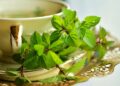 Green tea with mint and lime, a refreshing drink full of nutrients and minerals