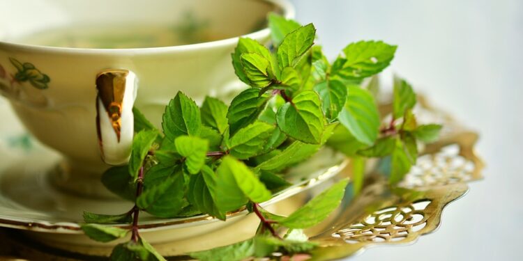 Green tea with mint and lime, a refreshing drink full of nutrients and minerals