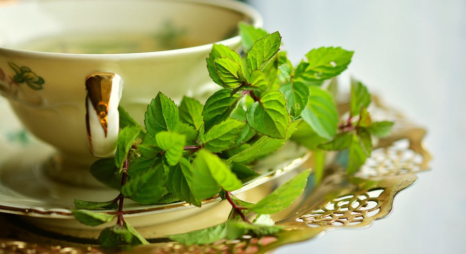 Green tea with mint and lime, a refreshing drink full of nutrients and minerals