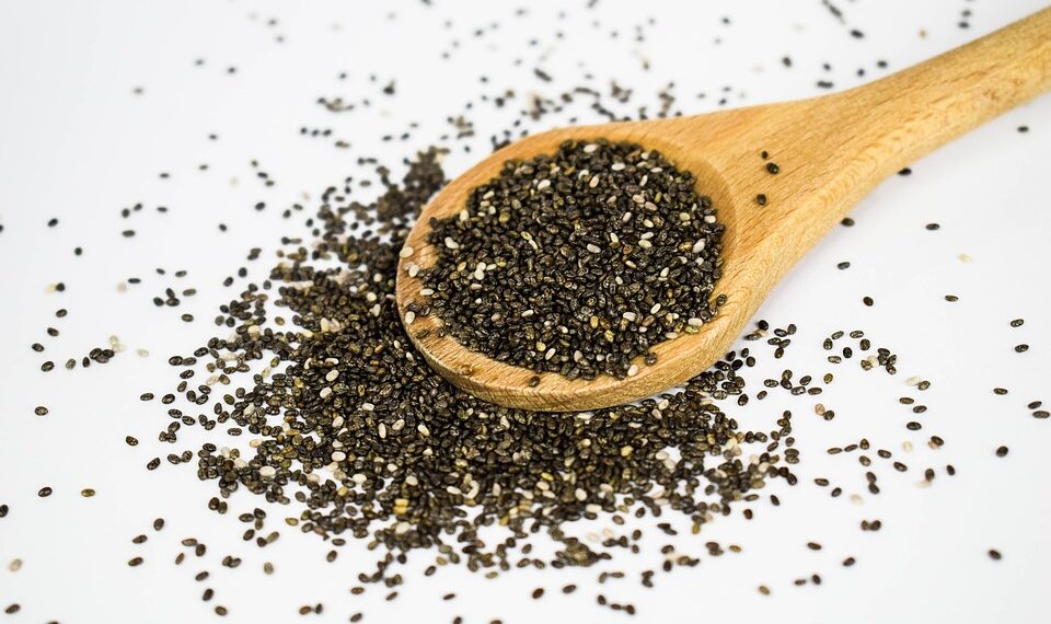 Chia seeds, learn about the origin and history of this pre-Columbian superfood