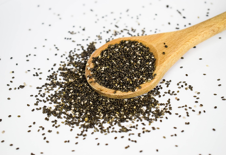 Chia seeds, learn about the origin and history of this pre-Columbian superfood