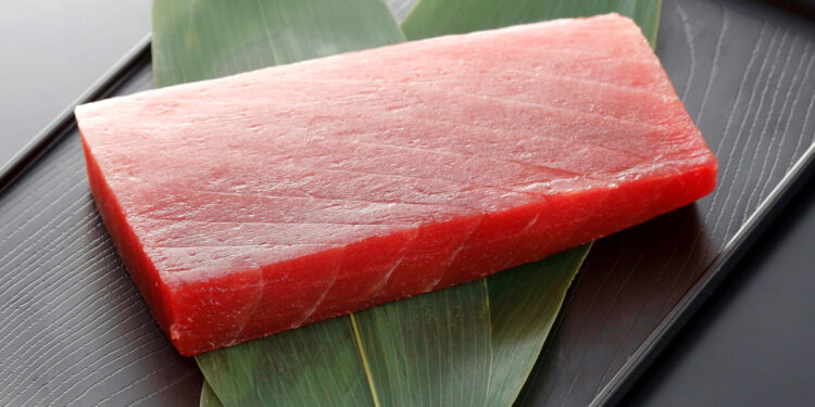 Do you know the contraindications of tuna? Excessive consumption could be dangerous for our health.