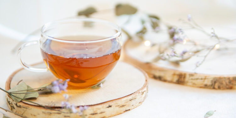 Rooibos Infusion