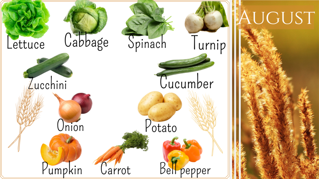 Seasonal Vegetables, complete annual calendar with the optimal season for each vegetable.