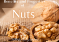 Walnuts, know all the properties and benefits of this magnificent nut