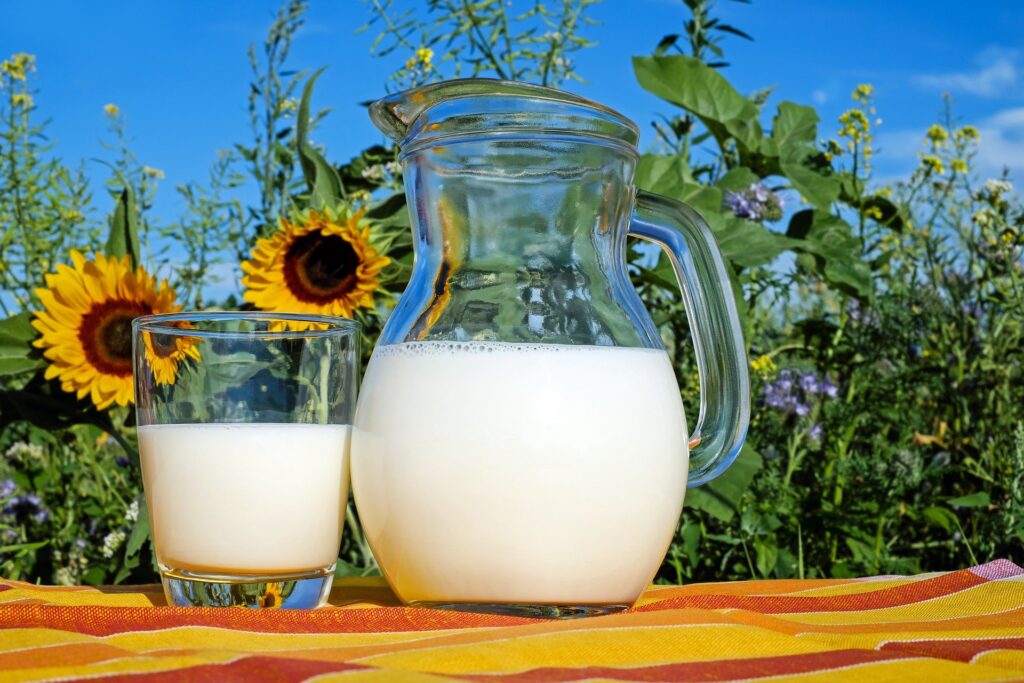 Milk, an important food with a multitude of properties and benefits.