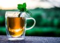 Tea, Know all the Properties and Benefits of this drink of millenary tradition.